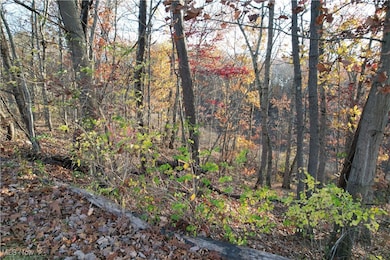 Lot 127 David Lee Dr, Parkersburg, WV 26101 - photo 4