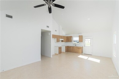 808 Dulce Dr, Alamo, TX 78516 - photo 4