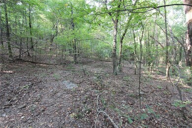 tbd Old 81 Loop, Rudy, AR 72952 - photo 7