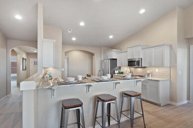 Snowbrush - Kitchen 2