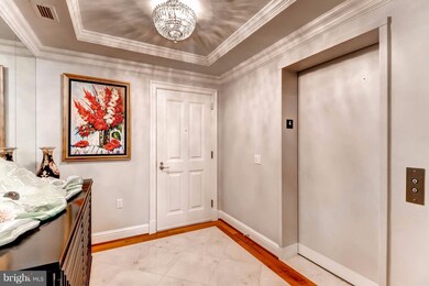 The Ritz-Carlton Residences unit 434, Baltimore, MD 21230 - photo 2