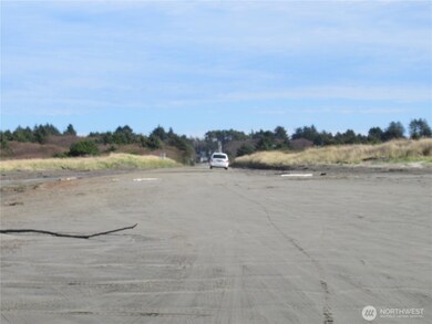 4 Driftwood Dr, Ocean City, WA 98569 - photo 4