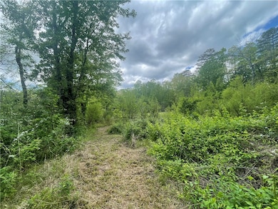 31 A Bonner Rd, Mountain  Rest, SC 29664 - photo 7