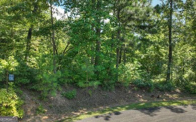 136 Whispering Ridge Ct unit 136, Ellijay, GA 30540 - photo 6