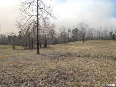 0 Ladybug Way unit 121146, Royal, AR 71968 - photo 5