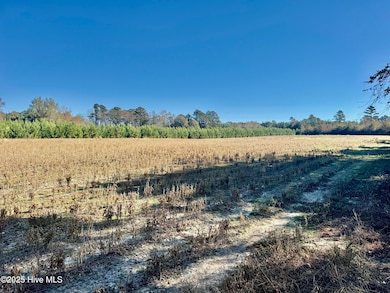 0 Near 4294 James B Wh, Whiteville, NC 28472 - photo 2