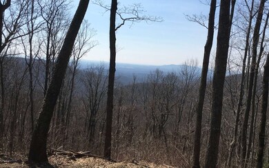 Additional View