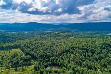 TBD Kimberling Rd, Bland, VA 24315 - photo 6