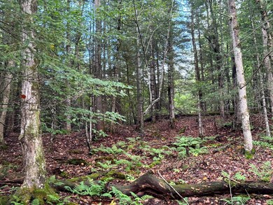 1.5 Farr Rd unit 5, Ohio, NY 13324 - photo 4