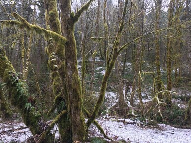 0 Beaver Creek Rd, Sheridan, OR 97378 - photo 7