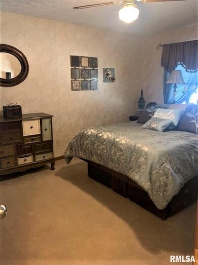 4806 Fillmore Ln, Davenport, IA 52806 - photo 6