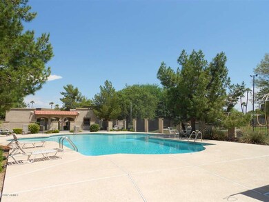 Villas Tempe Community Pool