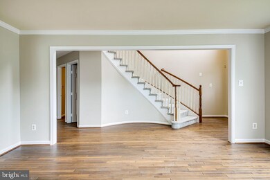 13610 Clary Sage Dr, Chantilly, VA 20151 - photo 5