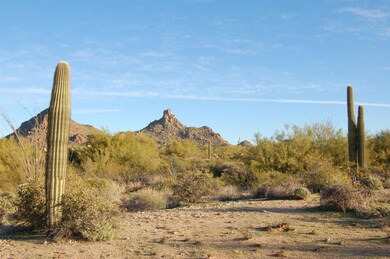 View North to Pinnacle Peak