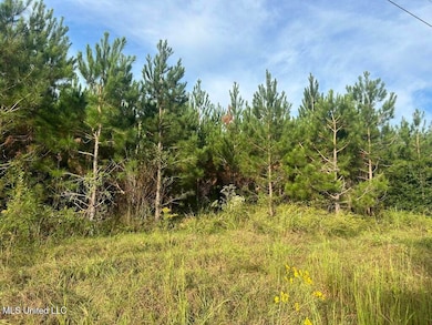 TBD River Rd N, Summit, MS 39666 - photo 4