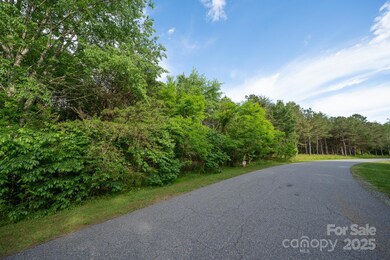 179 Riverwalk Rd, Stony Point, NC 28678 - photo 5