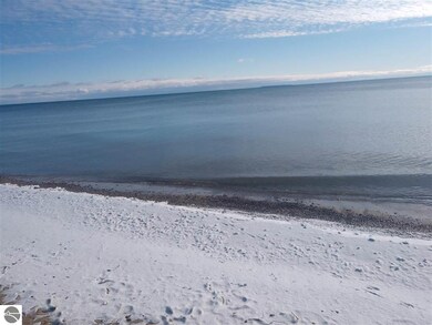 126 N Huron Rd, Au Gres, MI 48703 - photo 4