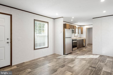 24494 Blue Blvd, Millsboro, DE 19966 - photo 4