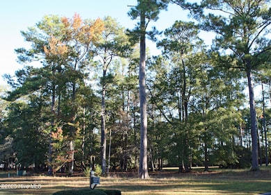598 Lindgrove Place SW, Ocean Isle Beach, NC 28469 - photo 3