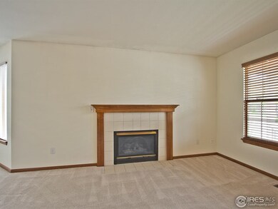 Gas Fireplace