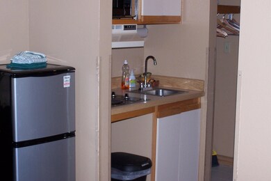 223 W Hunter Ridge Dr unit b313 Cedar Breaks L, Brian Head, UT 84719 - photo 6