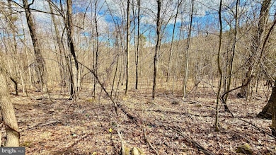 LOT 39 Sparrow Way, Augusta, WV 26704 - photo 5