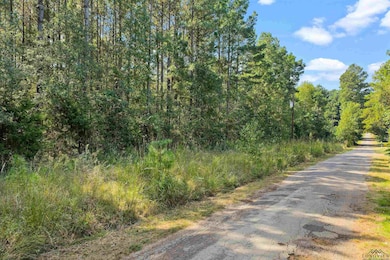 6.4 acres, TBD Narcissus Rd, Ore City, TX 75683 - photo 2