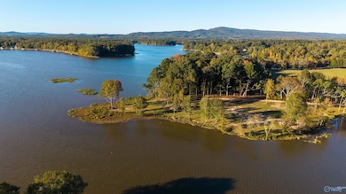 Lot 25 County Road 115, Cedar Bluff, AL 35959 - photo 5