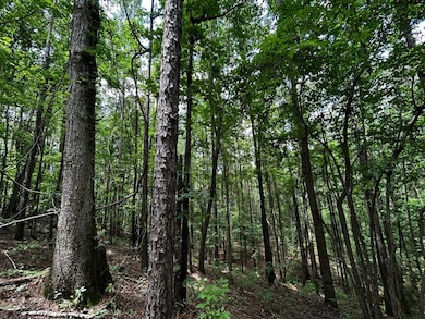 Highway 25, Fulton, MS 38843 - photo 5
