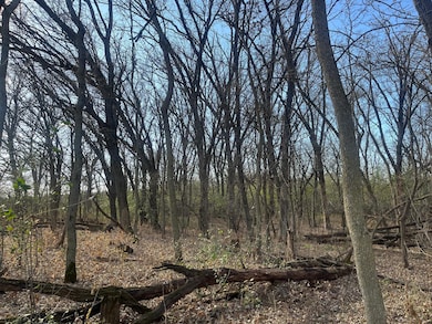 Possible Building Location in SE Corner.jpg