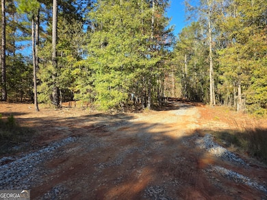 277 Douglas Creek Rd, Flovilla, GA 30216 - photo 2