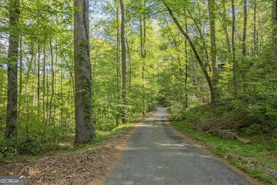 0 Ber Weg unit 10605993, Helen, GA 30545 - photo 6