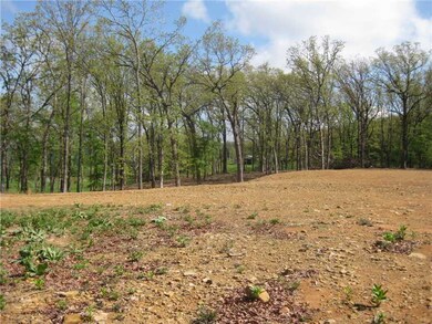 11278 Centerpoint Church Rd, Prairie Grove, AR 72753 - photo 4