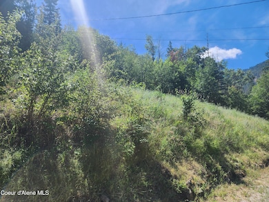 NKA Stahl St, Kellogg, ID 83837 - photo 2