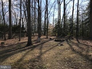 18322 Cabin Rd, Triangle, VA 22172 - photo 6