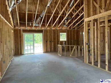 492 Cane Branch Rd, Loris, SC 29569 - photo 3