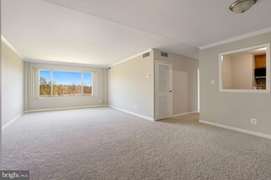 10570 Main St unit 503, Fairfax, VA 22030 - photo 2