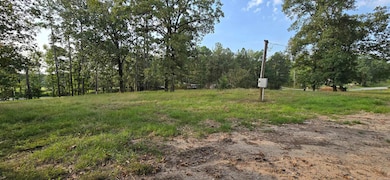 102 Owasso Trail, Bismarck, AR 71929 - photo 2