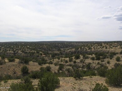 Swenson 40 acres 011.JPG