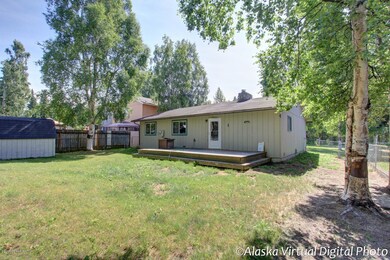 Stichler Back yard
