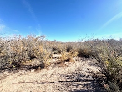 2811 Harold Place, Mohave Valley, AZ 86440 - photo 2