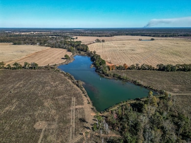 William Avera Rd, Morgan, GA 39866 - photo 2