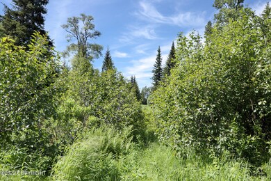W1 Alaskan Wildwood Ranch(r), Nikolaevsk, AK 99556 - photo 3
