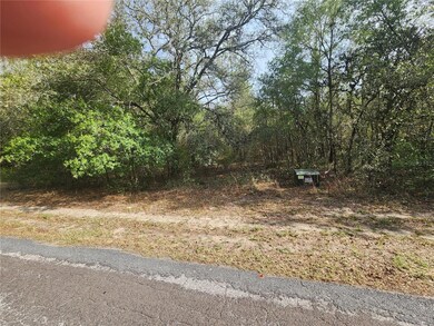 4428 N Forest Lake Dr, Hernando, FL 34442 - photo 5