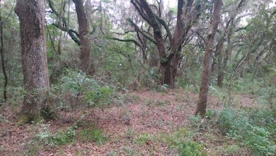 2780 Lawrence Rd, Saint Simons Island, GA 31522 - photo 4