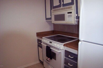 11006 W Santa fe Dr, Sun City, AZ 85351 - photo 4