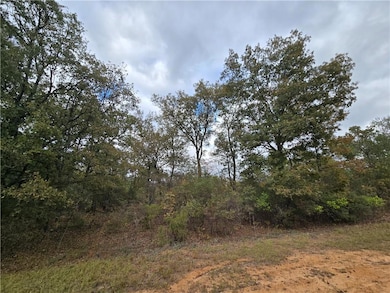 7 Dusty Rd, Seale, AL 36875 - photo 4