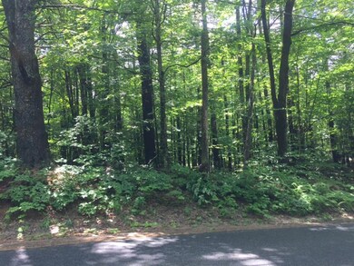 0 Doles Ridge Rd, Limerick, ME 04048 - photo 4