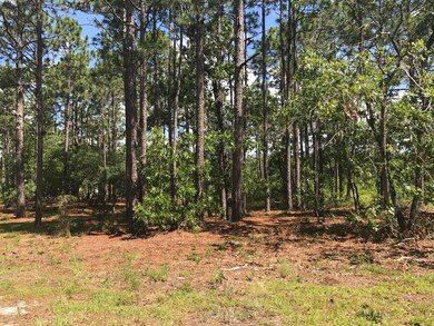 Lot 1 , Spring Lake Drive