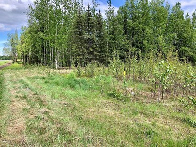 Hwy & Longmere Lots